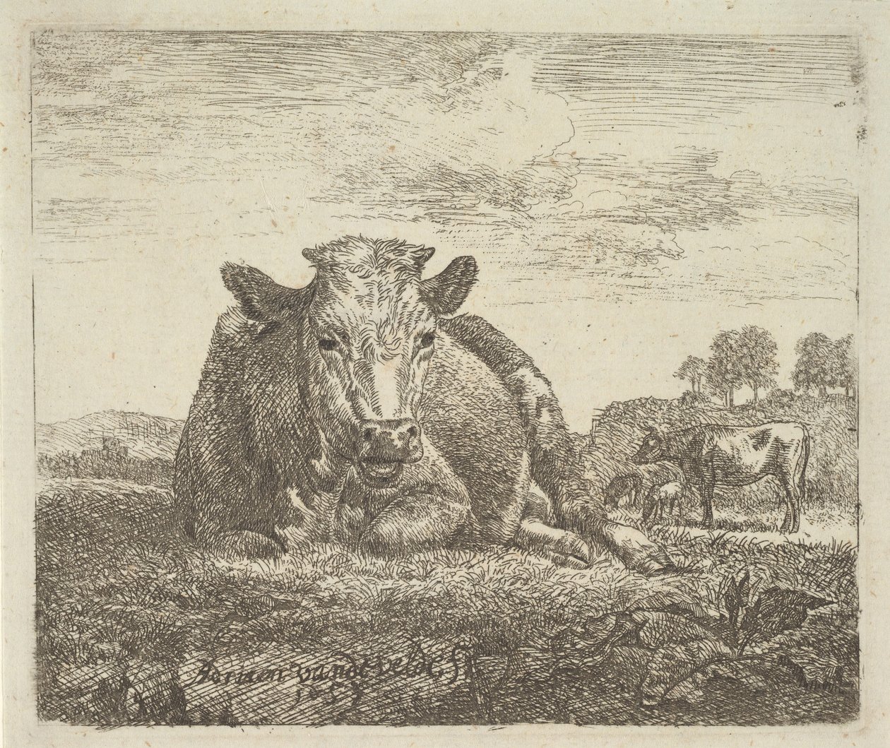 Liegende Kuh, aus Verschiedene Tiere von Adriaen van de Velde