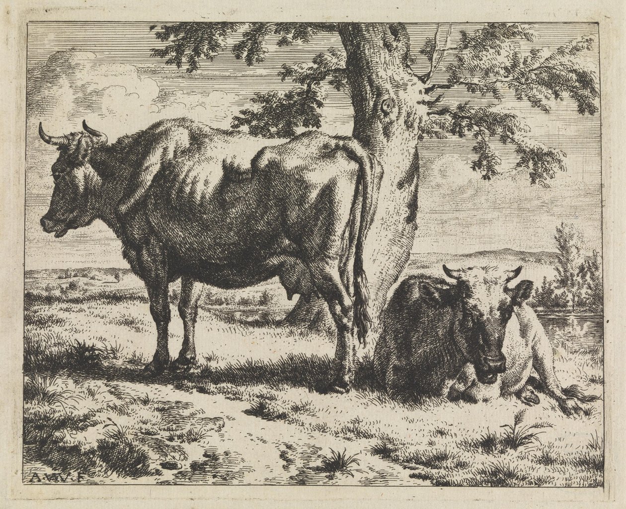 Zwei Kühe unter einem Baum von Adriaen van de Velde
