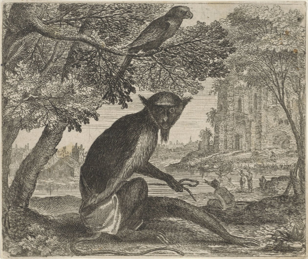 Fabel von dem Papagei und dem Affen von Egidius  Sadeler (II)