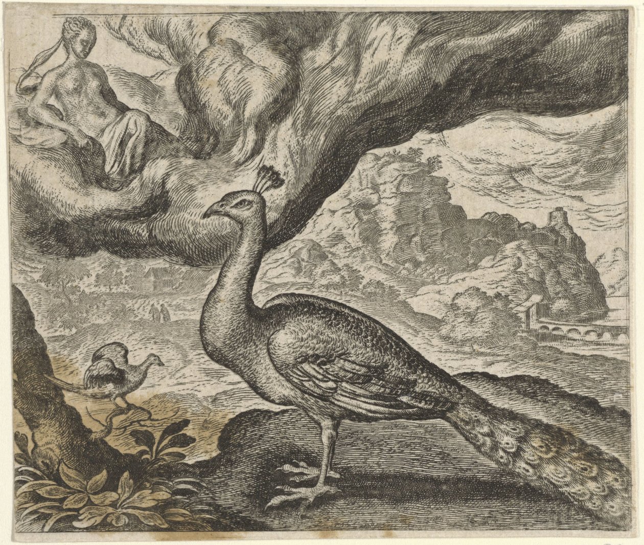 Fabel vom Pfau und der Nachtigall von Egidius  Sadeler (II)