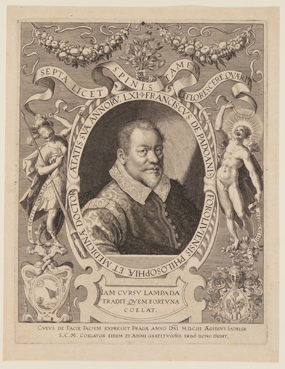 Franciscus de Padoanis Foroliviensis (Francesco da Forlì) von Aegidius Sadeler II