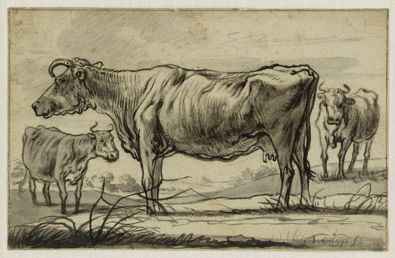 Trois vaches au pâturage von Aelbert Cuyp