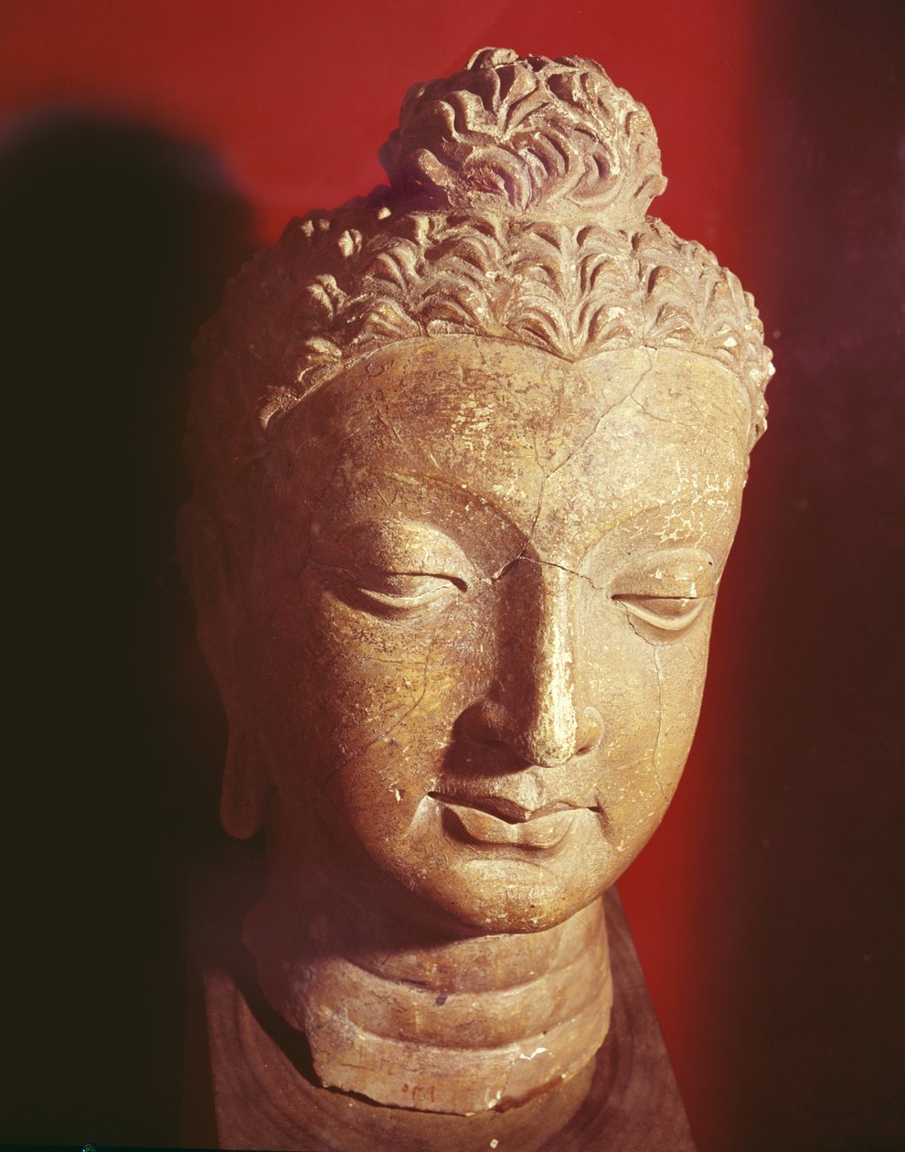 Kopf von Buddha, griechisch-buddhistischer Stil, aus Hadda von Afghan School