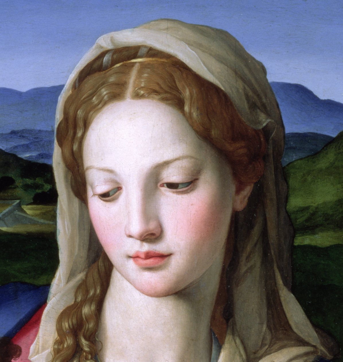 Heilige Familie mit St. Anna und dem kleinen Johannes dem Täufer (Detail) von Agnolo Bronzino