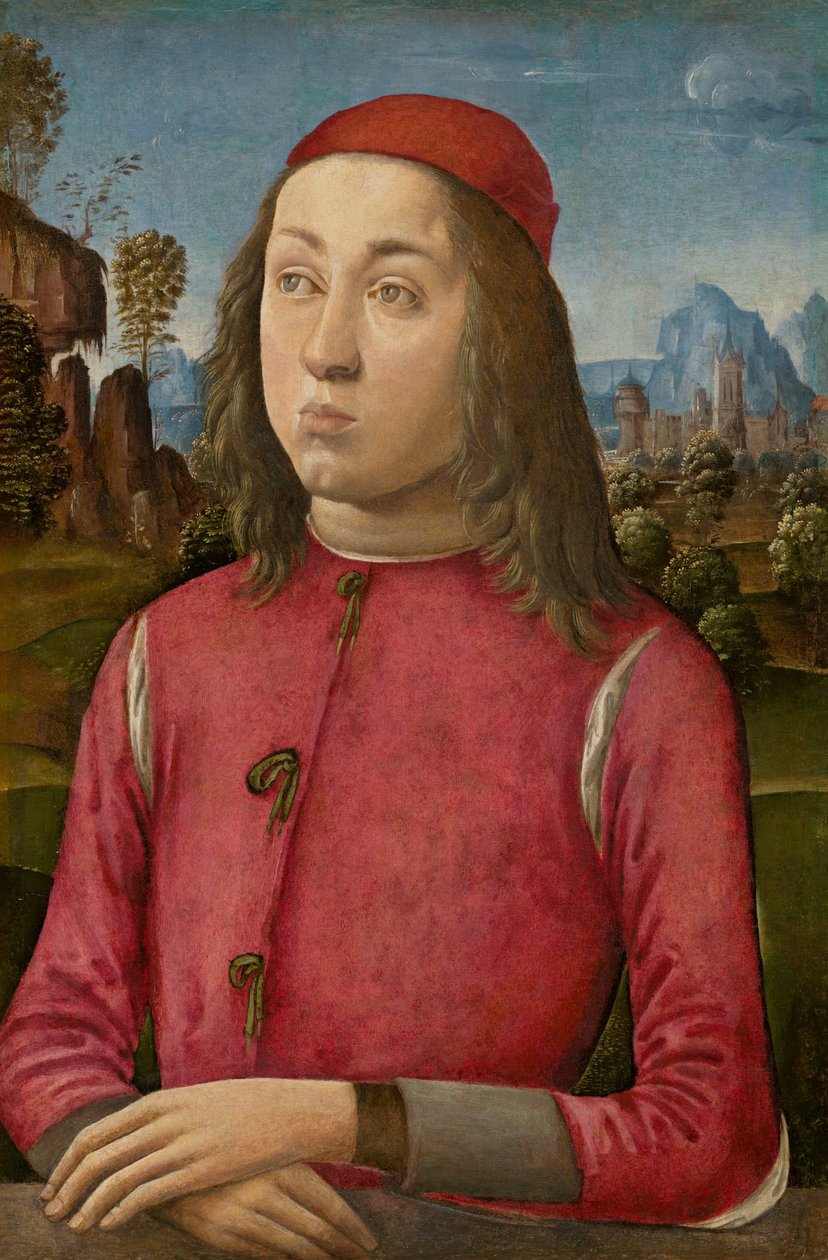 Porträt eines Jugendlichen, ca. 1495-1500 von Agnolo di Domenico di Donnino