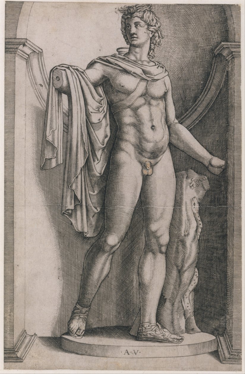 Speculum Romanae Magnificentiae: Apollo Belvedere, ca. 1514-36 von Agostino Veneziano