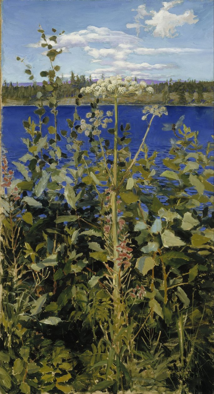 Wilde Engelwurz von Akseli Gallen-Kallela