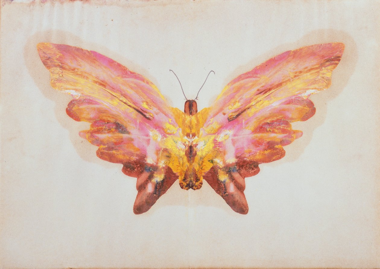 Schmetterling von Albert Bierstadt