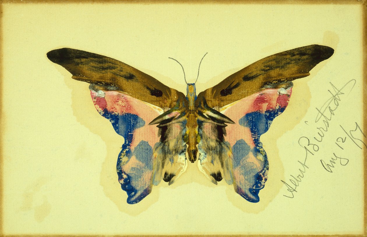 Schmetterling von Albert Bierstadt