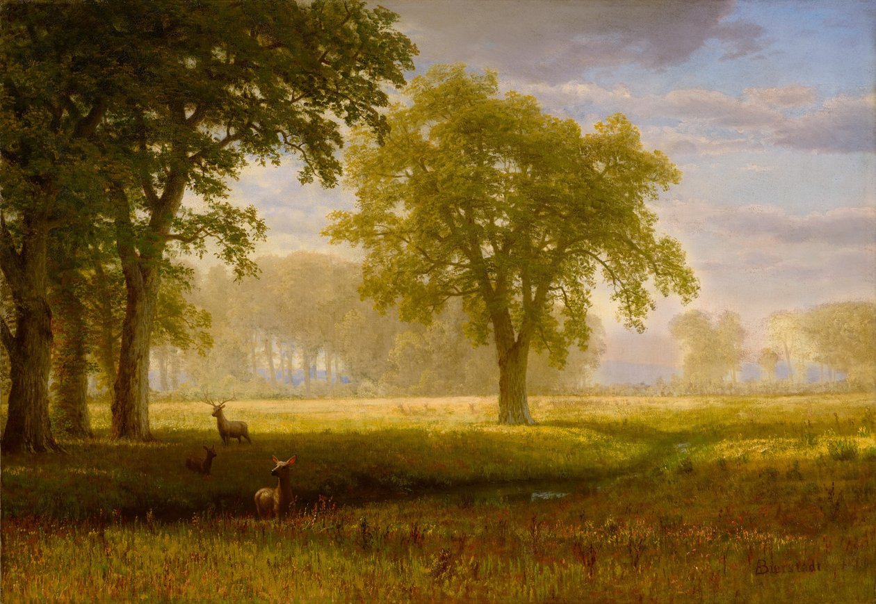 Elche im Eichenhain (Tuolumne Meadows) von Albert Bierstadt