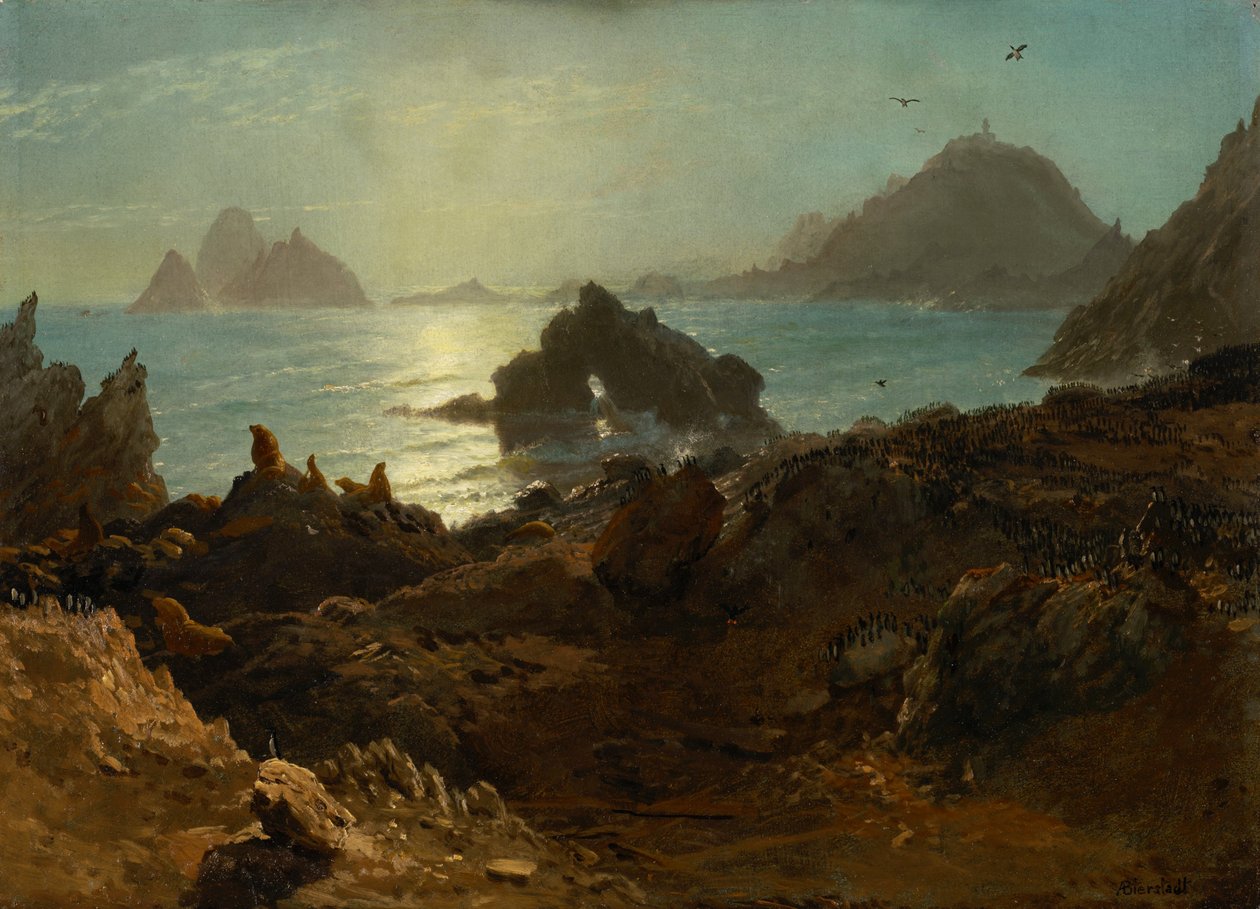 Farallon-Inseln, Pazifischer Ozean, Kalifornien von Albert Bierstadt