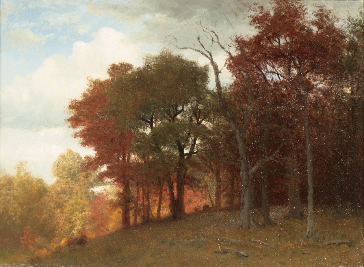 Hastings am Hudson River, 1865 von Albert Bierstadt