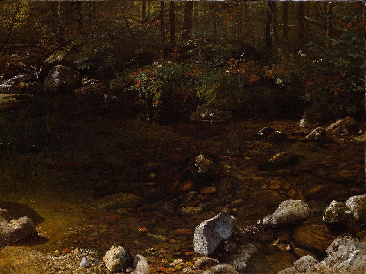 Schattiger Teich, Weiße Berge, New Hampshire von Albert Bierstadt