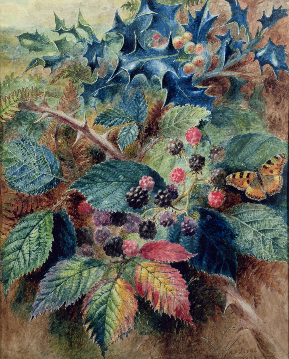 Brombeeren und Stechpalme mit einem Schmetterling von Albert Durer Lucas
