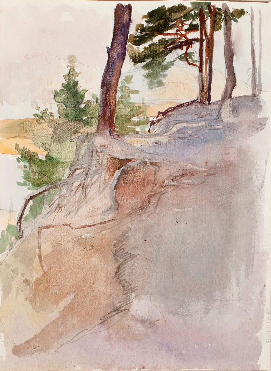 Ohne Titel von Albert Edelfelt