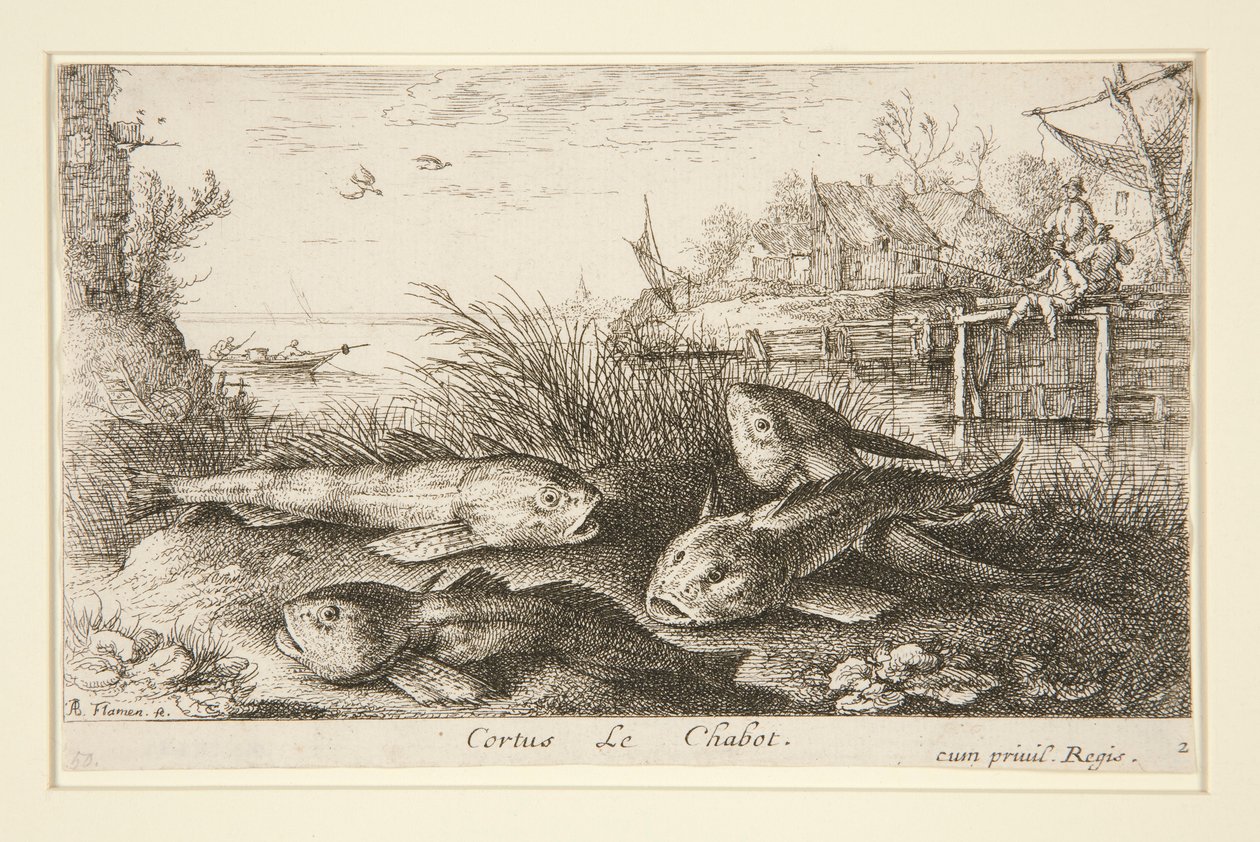 Cortus, Le Chabot von Albert Flamen