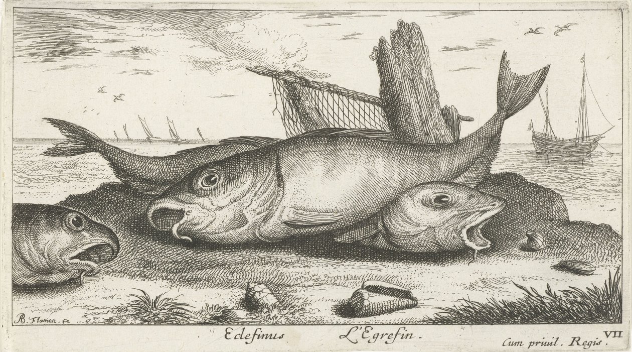 Drei Schellfische am Strand von Albert Flamen