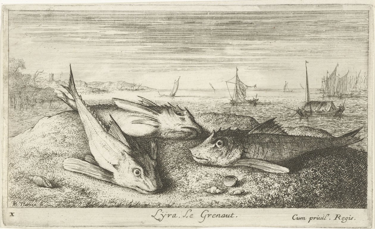 Drei Salzwasserfische am Strand von Albert Flamen