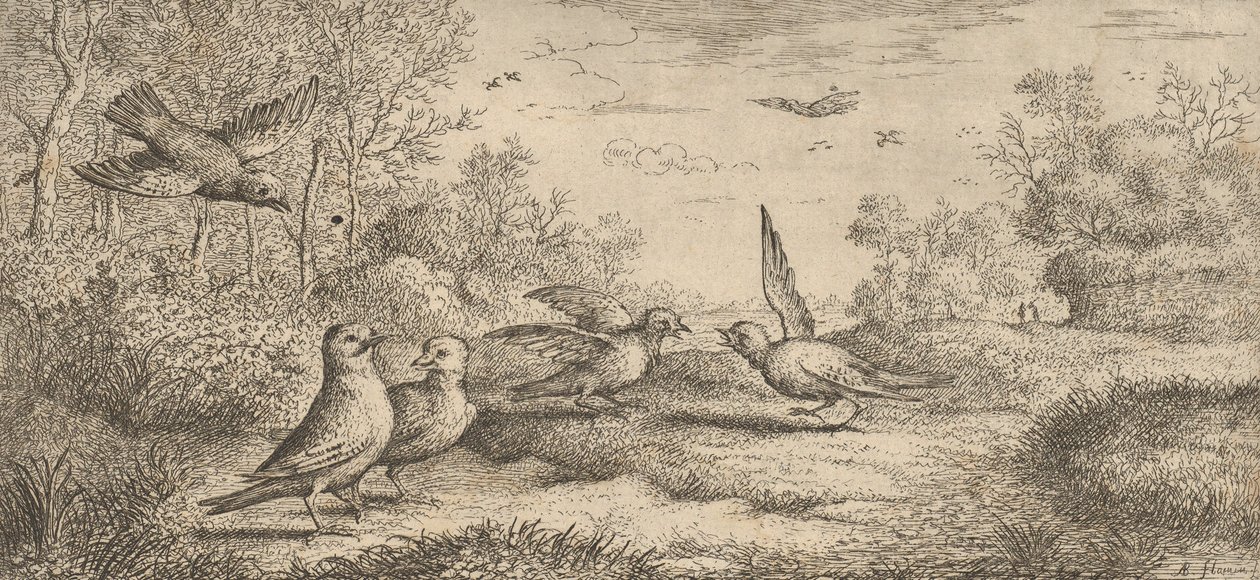 Garrulus, Gey Der Eichelhäher: Livre d
