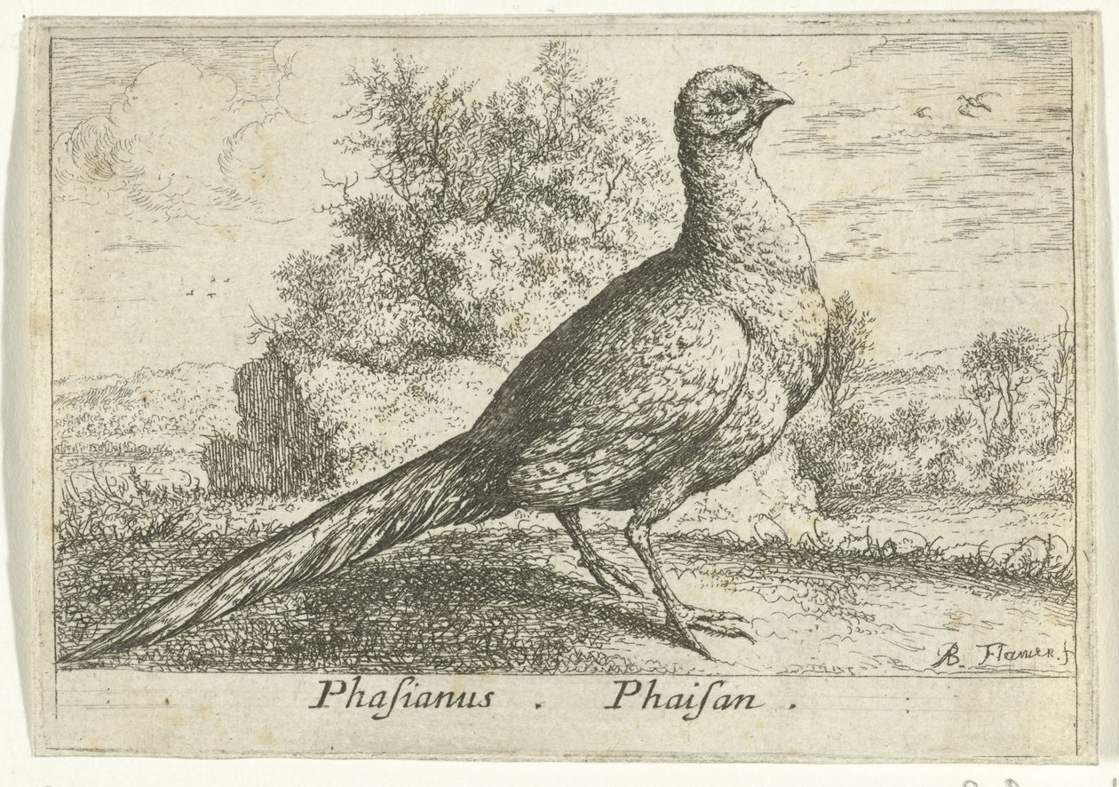 Landschaft mit Fasan von Albert Flamen