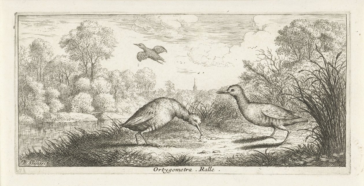 Landschaft mit zwei Rallen am Ufer von Albert Flamen