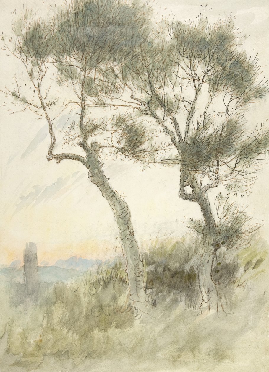 Studie von zwei Bäumen von Albert Goodwin