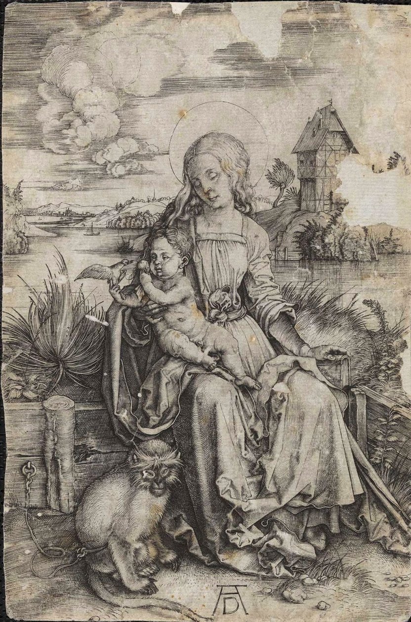 Jungfrau und Kind mit einem Affen von Albrecht Dürer