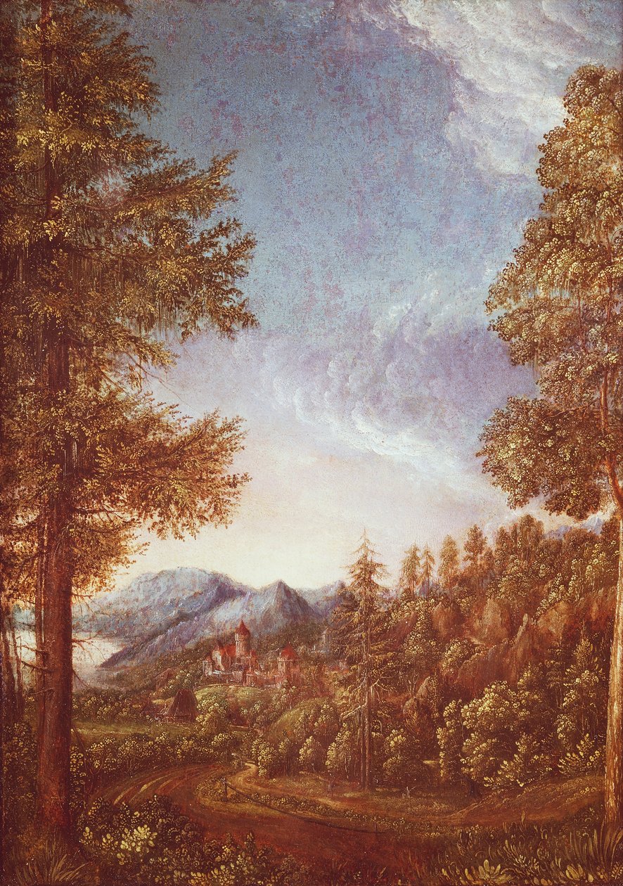 Donau-Landschaft mit Schloss Worth, ca. 1522-25 (Pergament auf Buche) von Albrecht Altdorfer