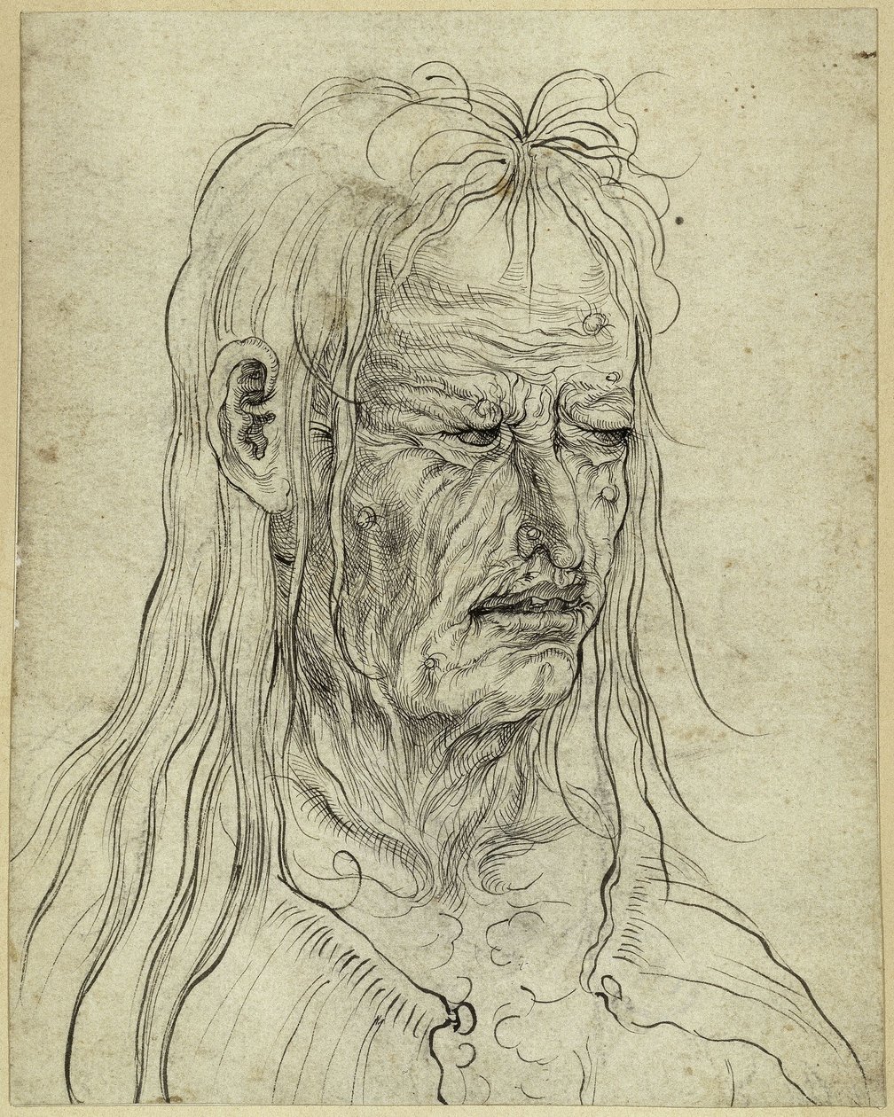 Kopf einer hässlichen Greisin, nach rechts von Albrecht Altdorfer