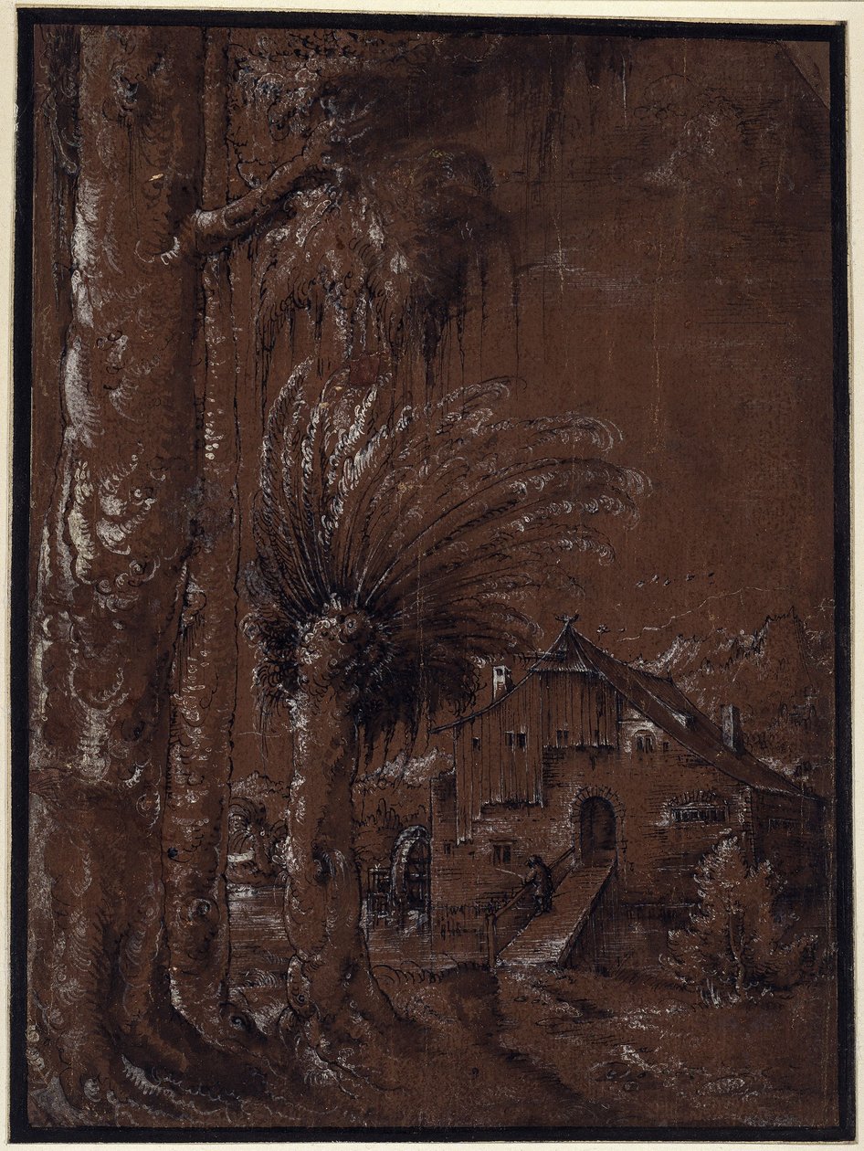 Landschaft mit Wassermühle von Albrecht Altdorfer