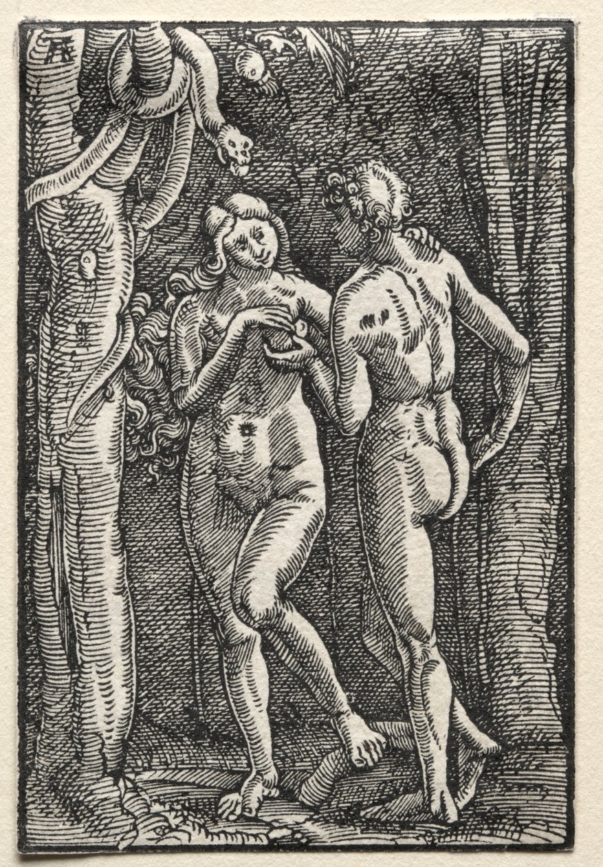 Der Fall und die Erlösung des Menschen: Adam und Eva essen die verbotene Frucht von Albrecht Altdorfer