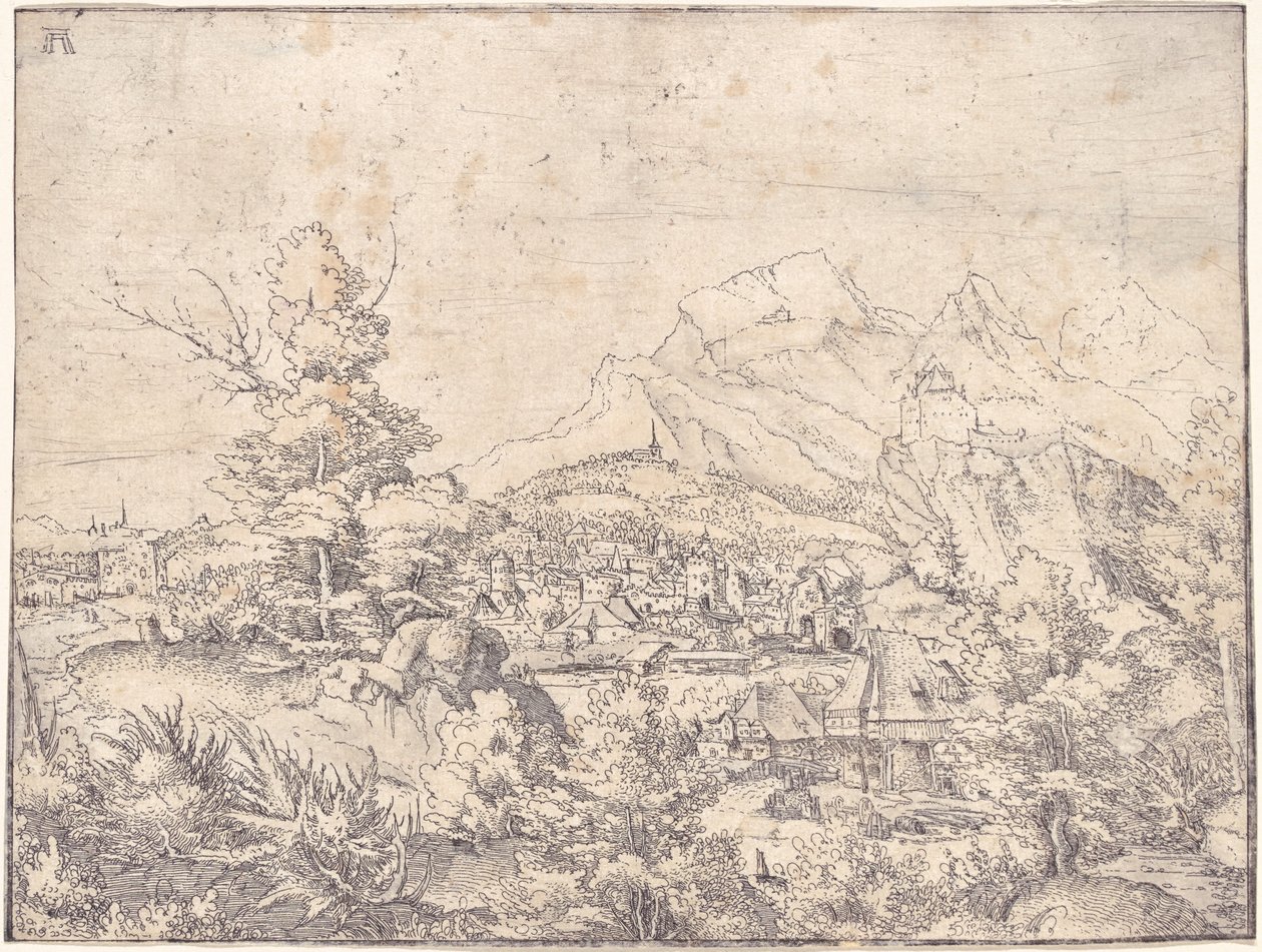 Die große Landschaft mit der Wassermühle von Albrecht Altdorfer