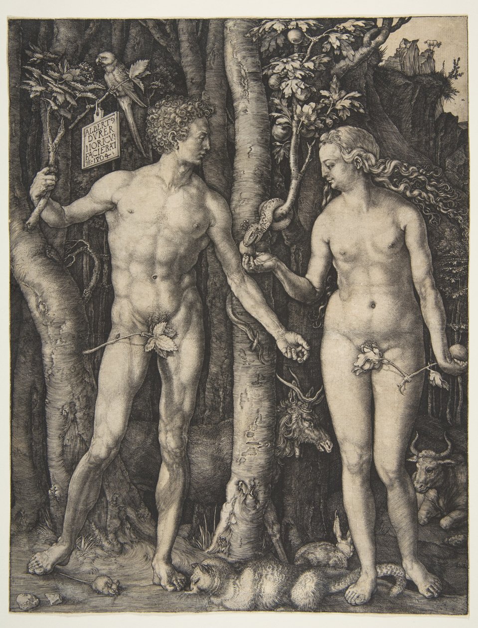 Adam und Eva von Albrecht Dürer