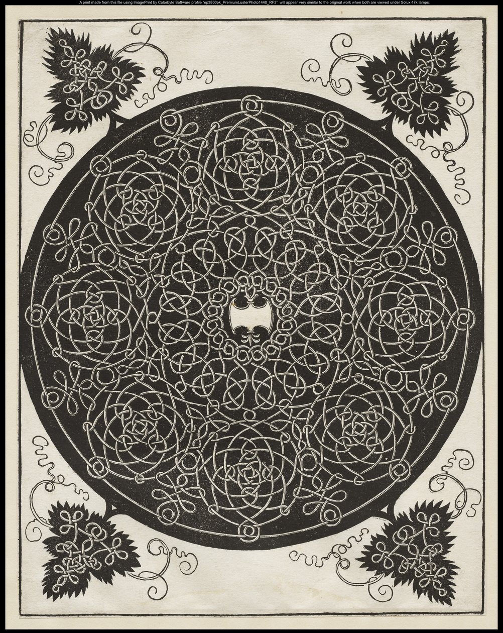 Fünfter Knoten, mit einem weißen Schild mit sechs Punkten in der Mitte, ca. 1506 von Albrecht Dürer