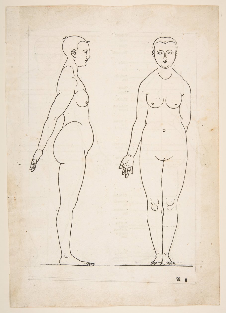 Illustration aus Dürers Vier Bücher von menschlicher Proportion, Nürnberg, 1528 von Albrecht Dürer