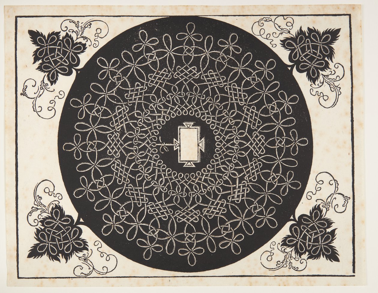 Verschlungenes Kordelmuster mit länglichem Schild von Albrecht Dürer