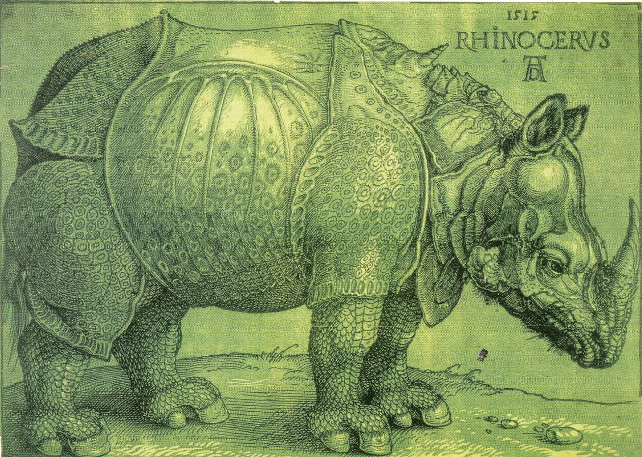 Rhinocerus von Albrecht Dürer