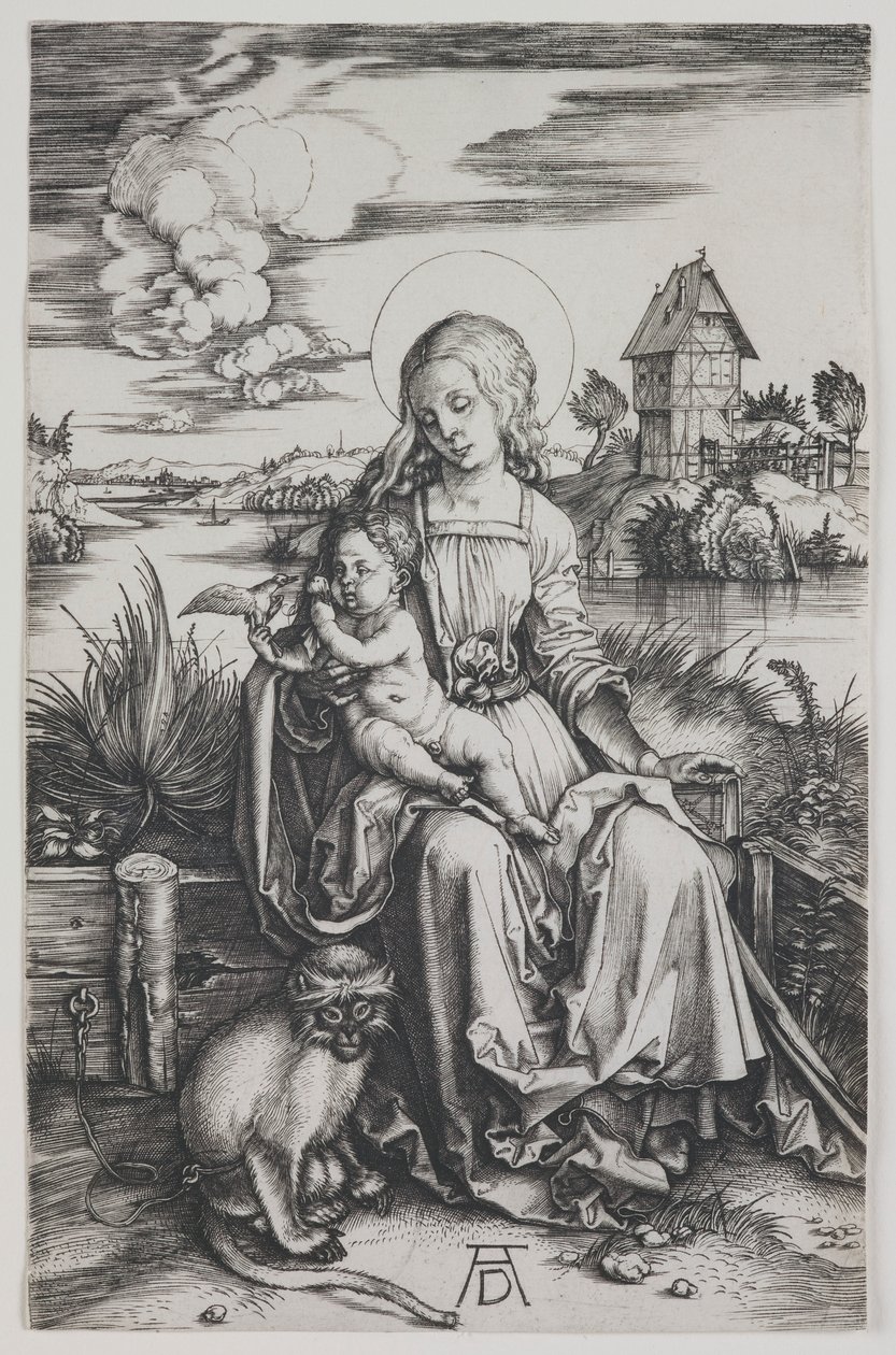 Madonna mit dem Affen von Albrecht Dürer
