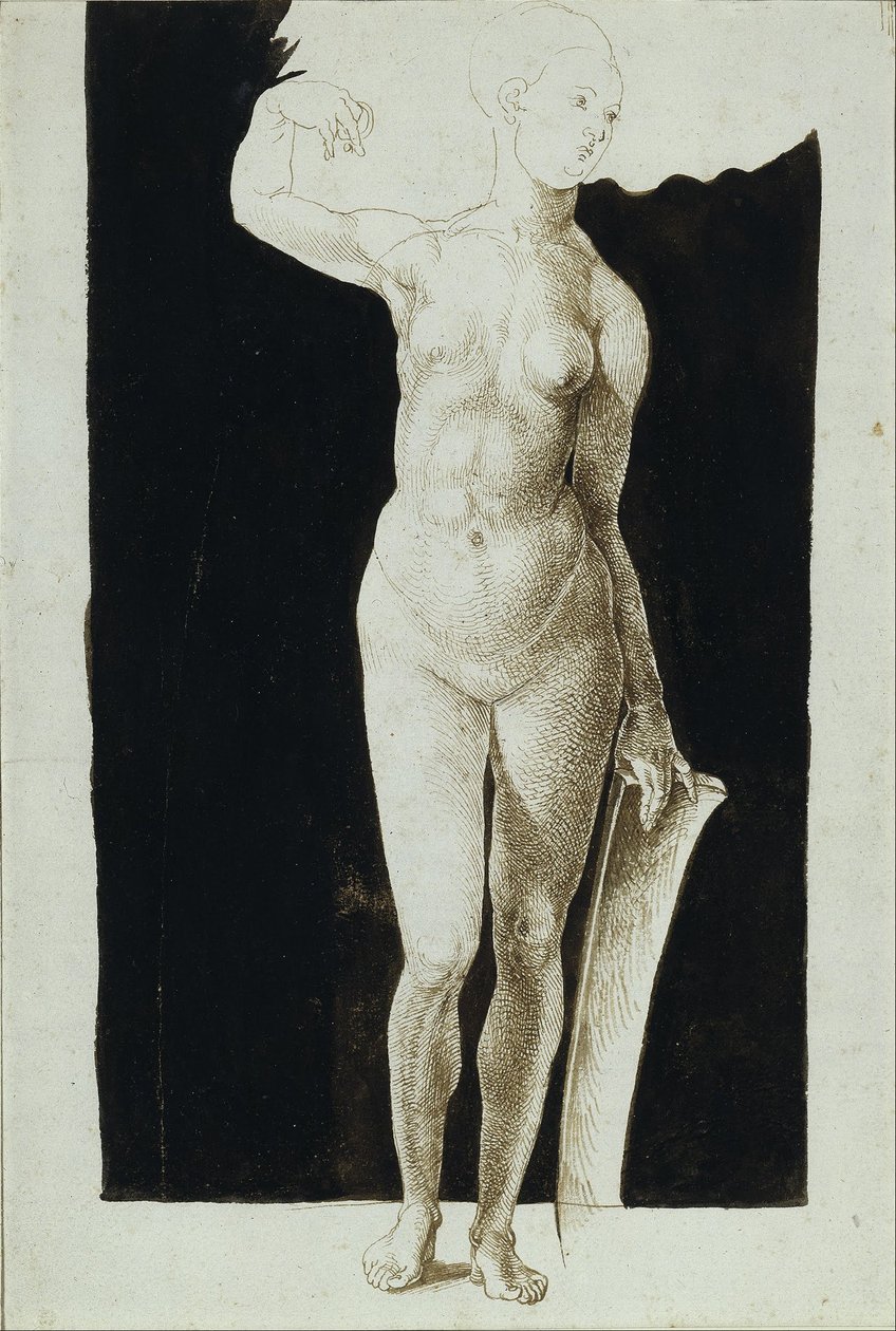 Proportionsstudie eines weiblichen Aktes mit einem Schild von Albrecht Dürer