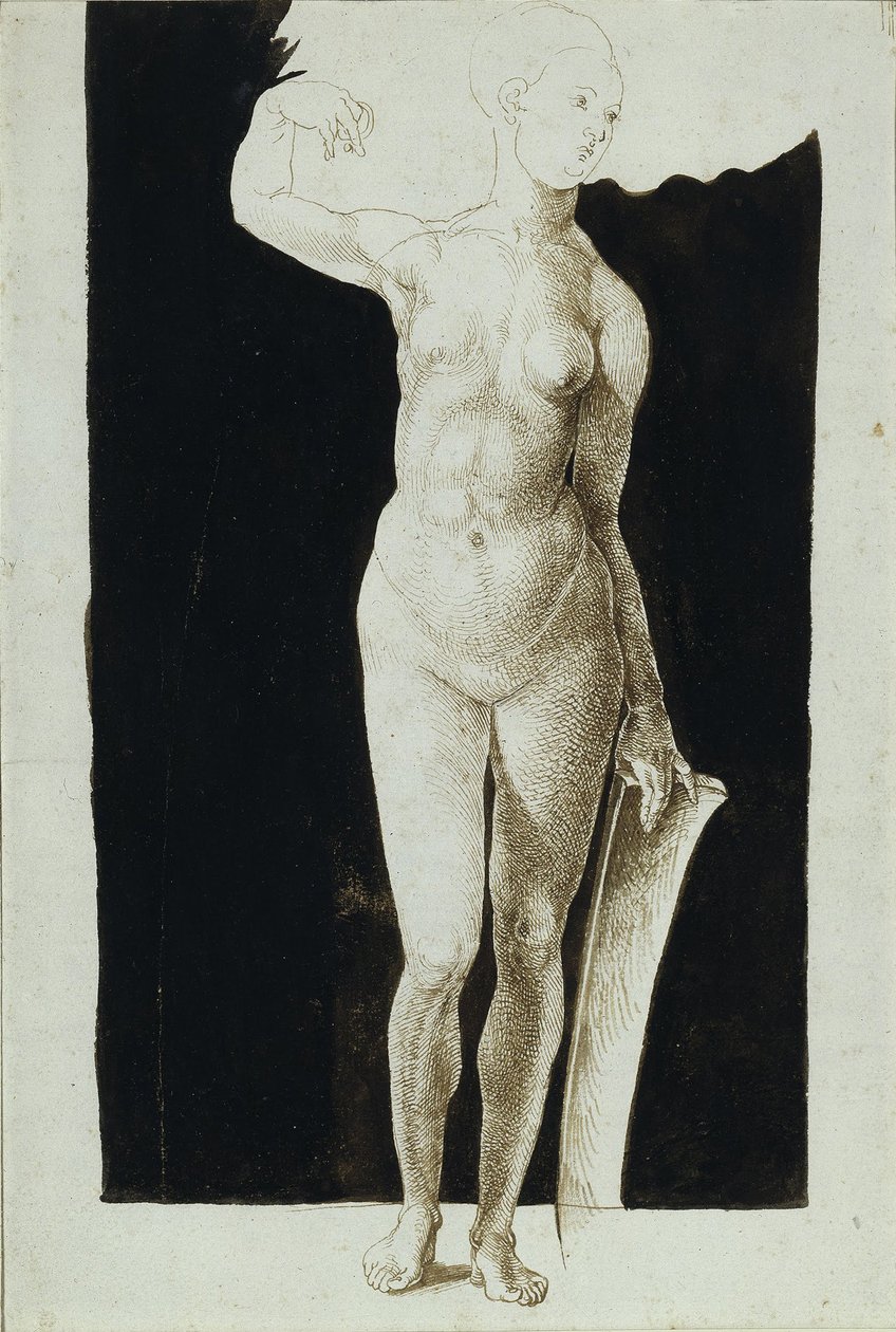 Proportionsstudie einer weiblichen Nackten mit einem Schild, 1500 von Albrecht Dürer