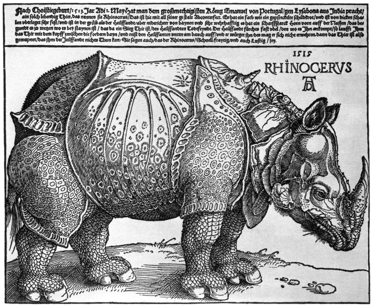 Nashorn, Druck an Maximilian I. vom König von Lissabon, 1515, 1936 von Albrecht Dürer