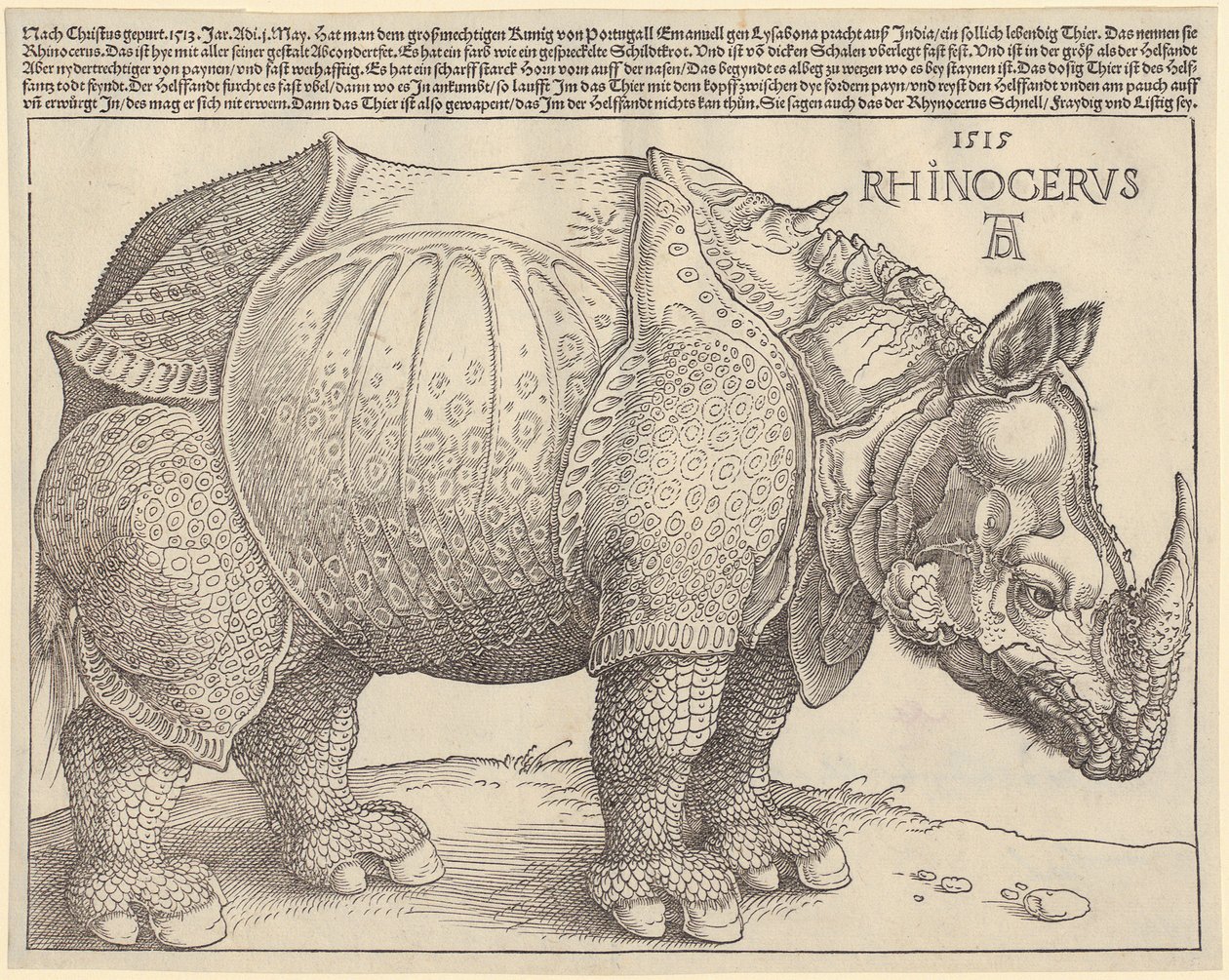 Nashorn von Albrecht Dürer
