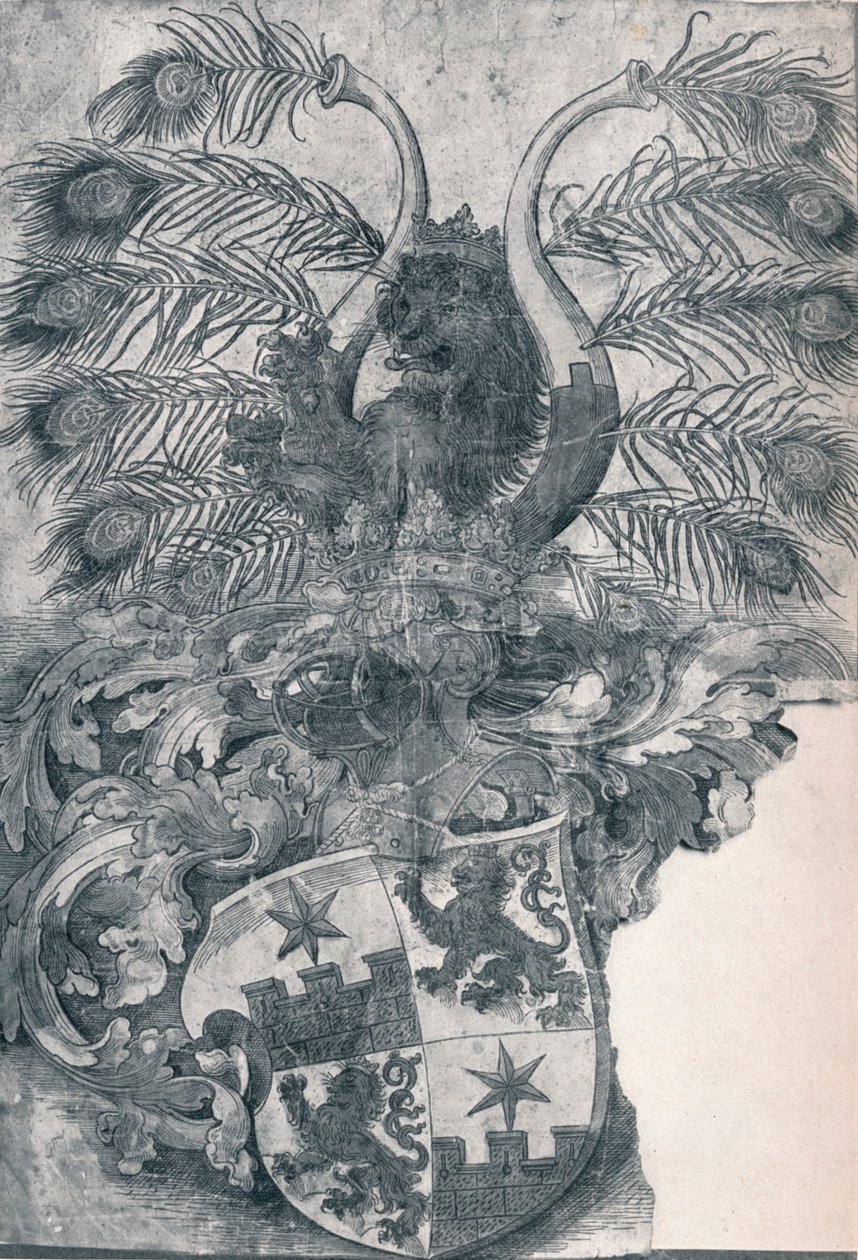 Das Wappen von Wilhelm und Wolfgang Roggendorff, 1520 1906 von Albrecht Dürer