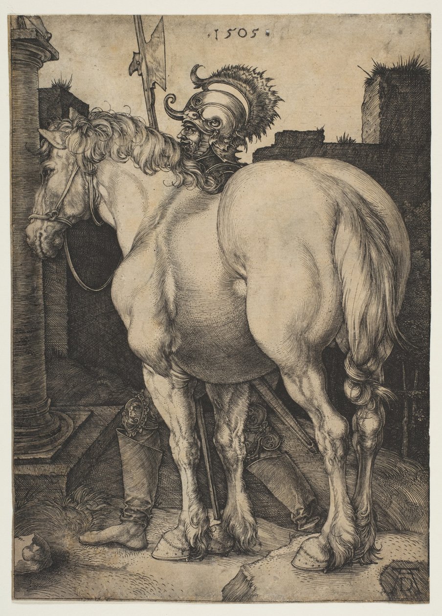 Das große Pferd von Albrecht Dürer