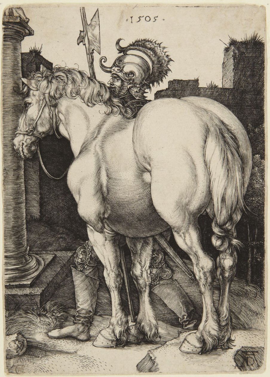 Das große Pferd von Albrecht Dürer