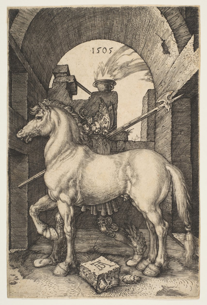 Das kleine Pferd, 1505 von Albrecht Dürer