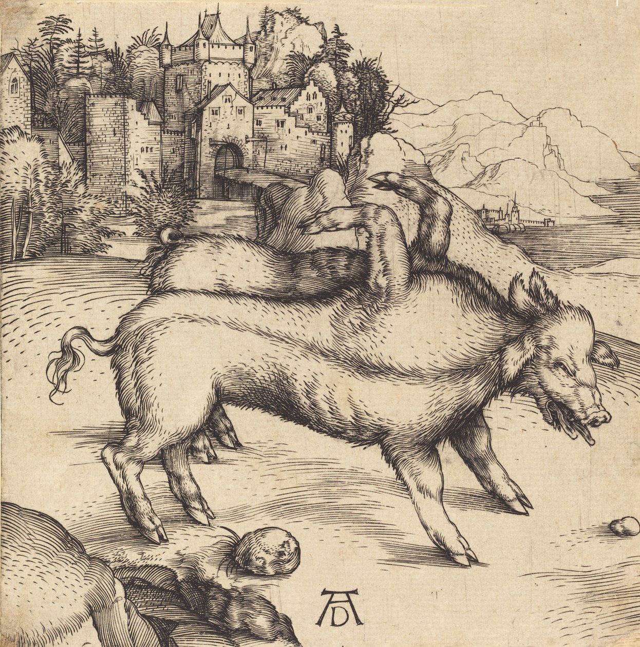Das monströse Schwein von Landser, wahrscheinlich 1496 von Albrecht Dürer