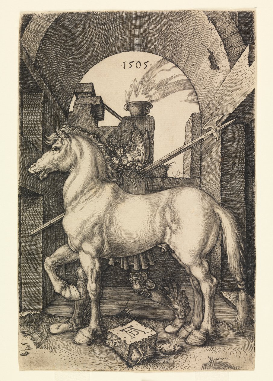 Das kleine Pferd von Albrecht Dürer