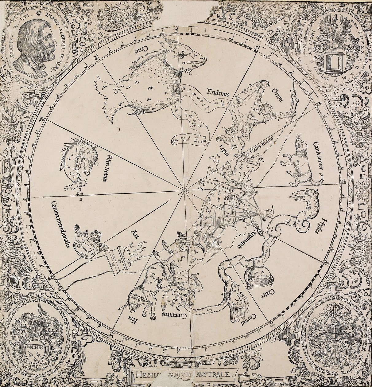 Die himmlische Karte der südlichen Hemisphäre, frühes 16. Jahrhundert von Albrecht Dürer