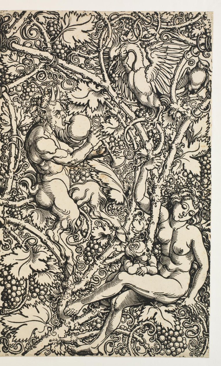 Zwei Entwürfe für Wandteppiche mit Satyrfamilie von Albrecht Dürer